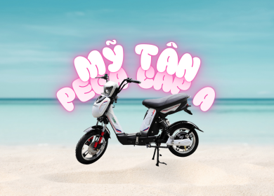 Mỹ Tân PEGA CAP A