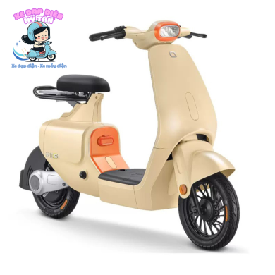 Xe Đạp Điện Chính Hãng Bình Long – Uy Tín, Giá Tốt, Bảo Hành Dài Hạn
